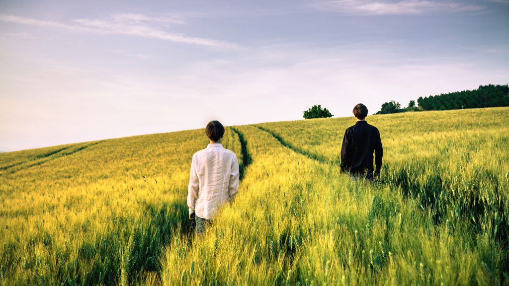 grano giovani agricoltura campo