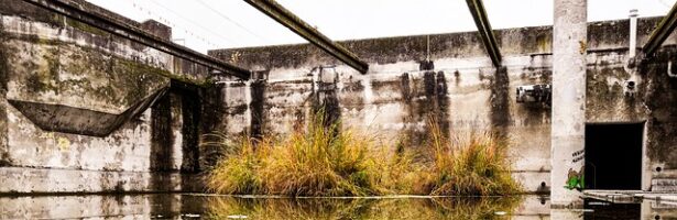 Bando per sostegno in azioni di prevenzione calamità naturali, avversità atmosferiche ed eventi catastrofici